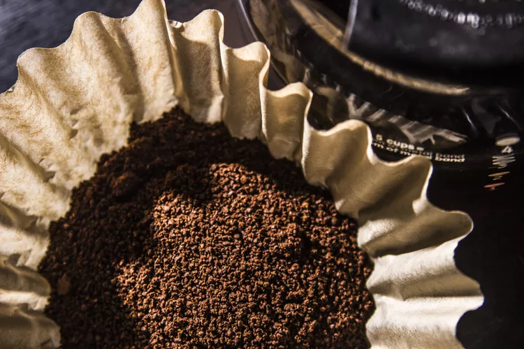 Do Coffee Grounds Really Keep Slugs Away? Here's What an Expert Says