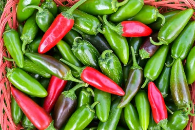 Red vs. Green Jalapeños: Which Is Hotter?